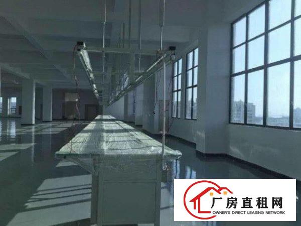  大岭山工业区新空出5楼850平带现成办公室和装修实景拍摄