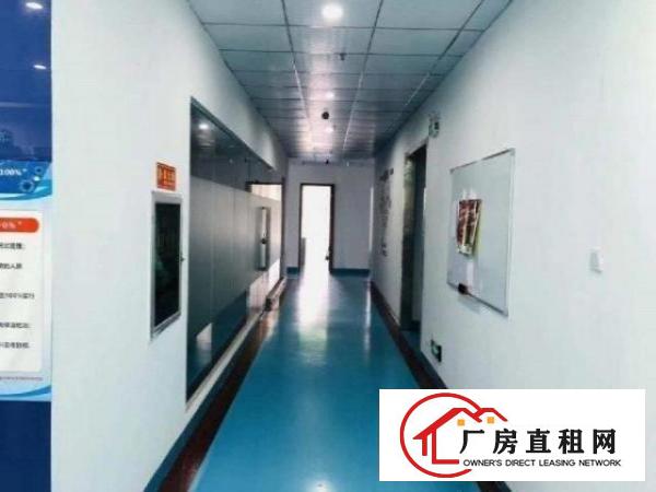  大岭山原房东招租二楼1200方6月空出新地坪漆带办公室
