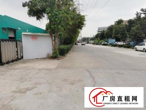  大岭山原房东新建独院钢构厂房2000出租，高度7米，厂房新