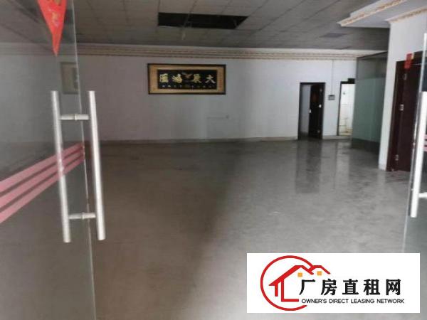  大岭山原房东新建独院钢构厂房2000出租，高度7米，厂房新