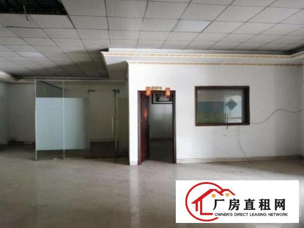  大岭山原房东新建独院钢构厂房2000出租，高度7米，厂房新