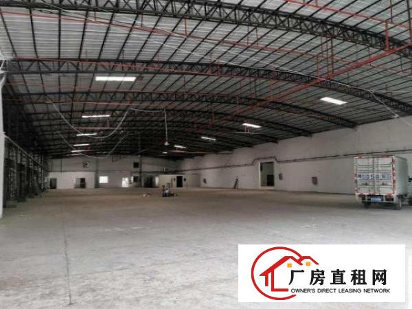  大岭山原房东新建独院钢构厂房2000出租，高度7米，厂房新