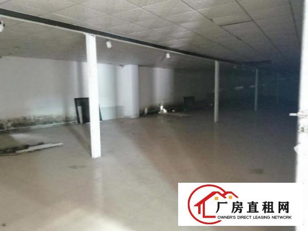 大岭山原房东新建独院钢构厂房2000出租，高度7米，厂房新