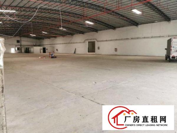 大岭山原房东新建独院钢构厂房2000出租，高度7米，厂房新