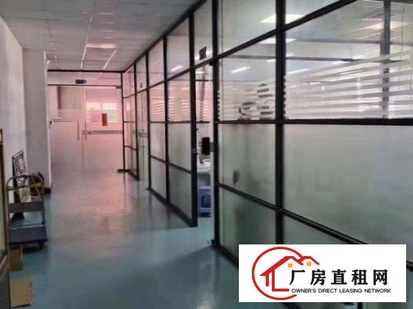  出租大岭山城区采光好，水电齐全，适合任何行业，面积大