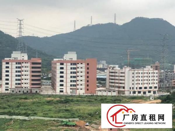  大岭山杨物原房东直租大小面积好分租