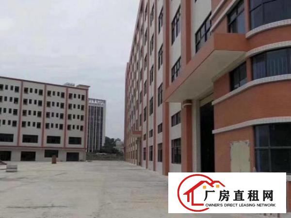  大岭山杨物原房东直租大小面积好分租