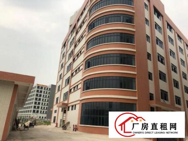  大岭山杨物原房东直租大小面积好分租