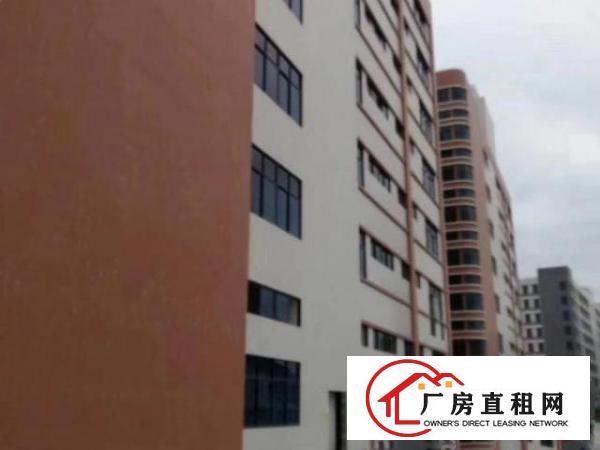  大岭山杨物原房东直租大小面积好分租