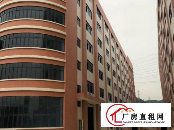  大岭山杨物原房东直租大小面积好分租