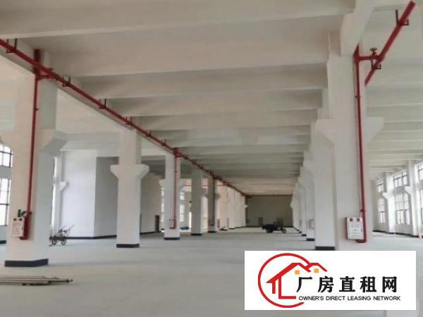  大岭山杨物原房东直租大小面积好分租