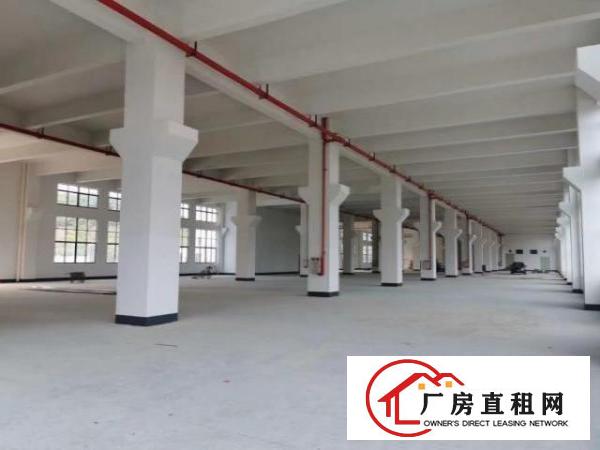 大岭山杨物原房东直租大小面积好分租