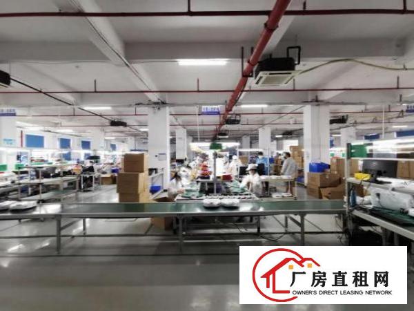  业主直租大岭山全新科创工业园