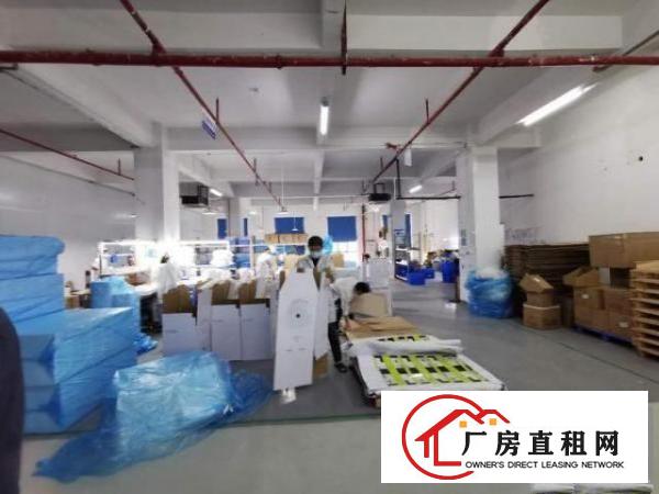  业主直租大岭山全新科创工业园