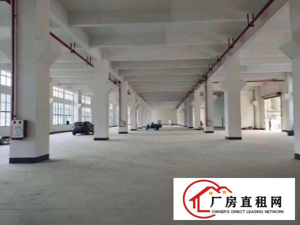  大岭山全新红本重工业厂房（大小好分）