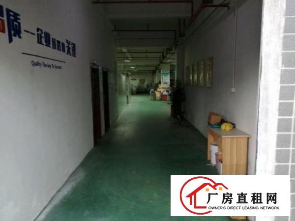  大岭山标准厂房位置优越出租