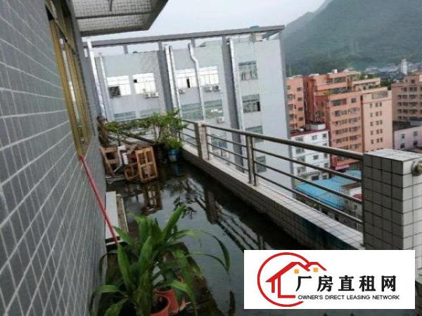  大岭山标准厂房位置优越出租