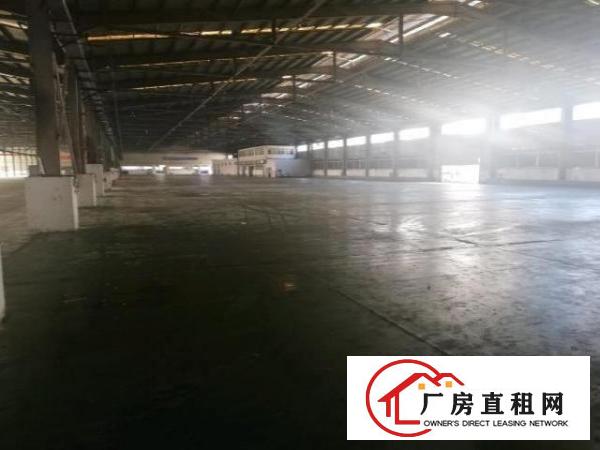  大岭山独门独院26000平米厂房