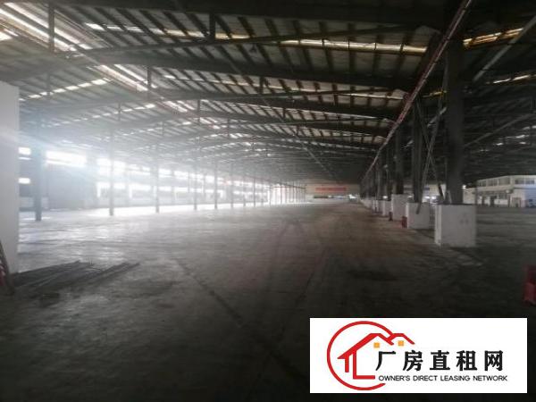  大岭山独门独院26000平米厂房