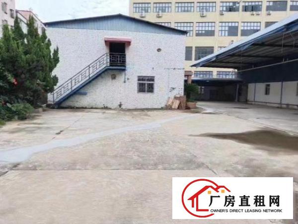  大岭山独院厂房4300平米