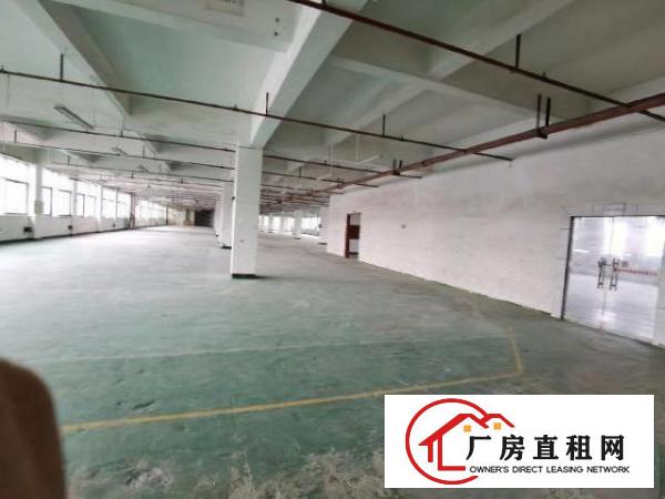  园区标准厂房一楼1200平米