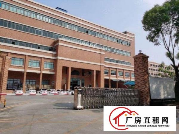  大岭山杨屋3楼1000平标准厂房出租现成装修可分租