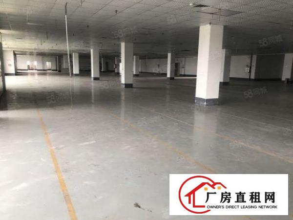  大岭山杨屋3楼1000平标准厂房出租现成装修可分租