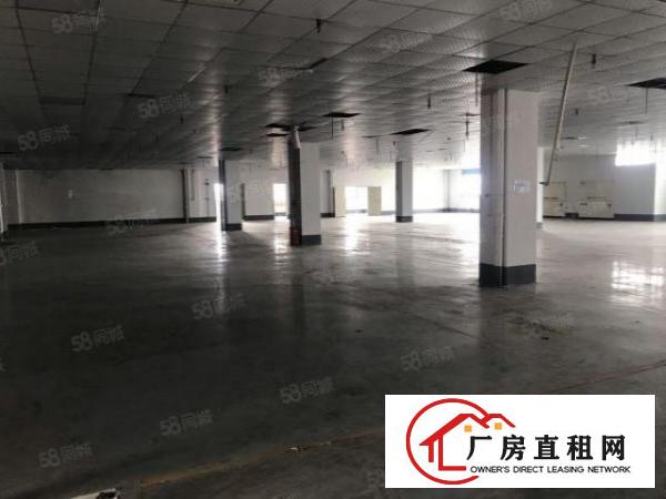  大岭山杨屋3楼1000平标准厂房出租现成装修可分租