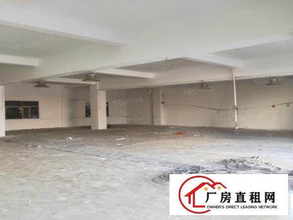  矮岭冚沙岭路30号一楼商铺，楼上小加工。