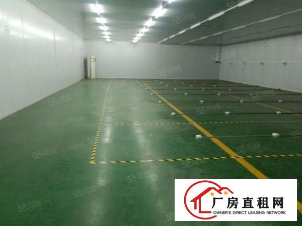  大岭山新空楼上无尘车间440平方厂房出租