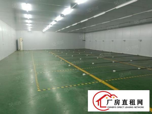 大岭山新空楼上无尘车间440平方厂房出租