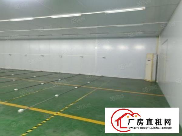  大岭山新空楼上无尘车间440平方厂房出租