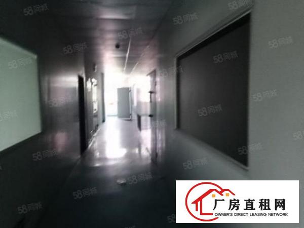 大岭山新空楼上豪华装修480平方厂房出租