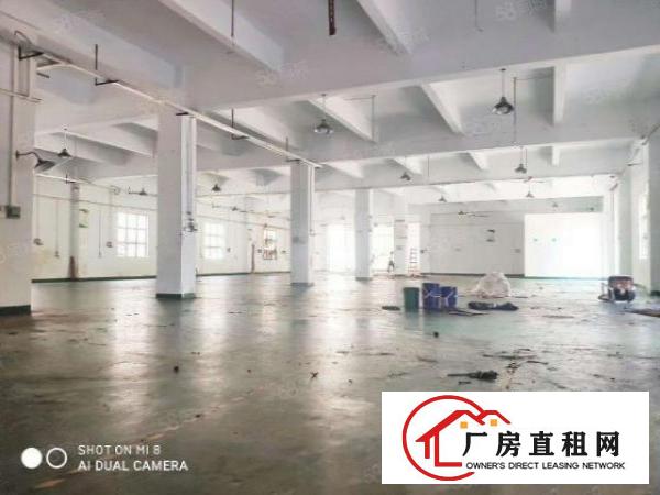  大岭山杨屋原房东靓厂房一楼800平出租