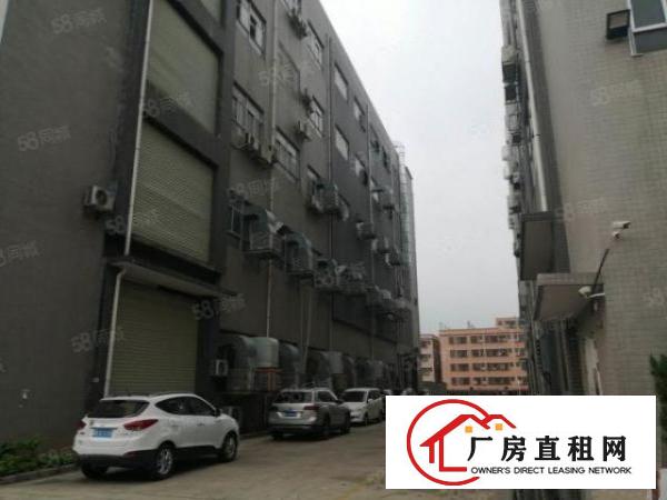  大岭山太公岭独门独院厂房招租，内有空地紧靠莞场路