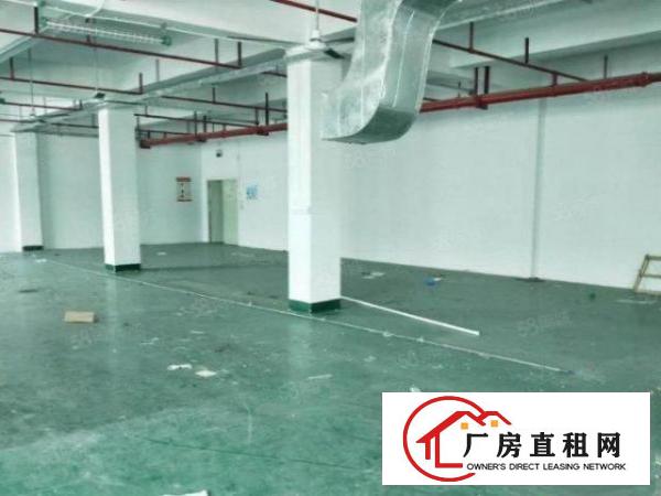  大岭山镇太公岭新出标准2楼800平方厂房出租带现成精装修