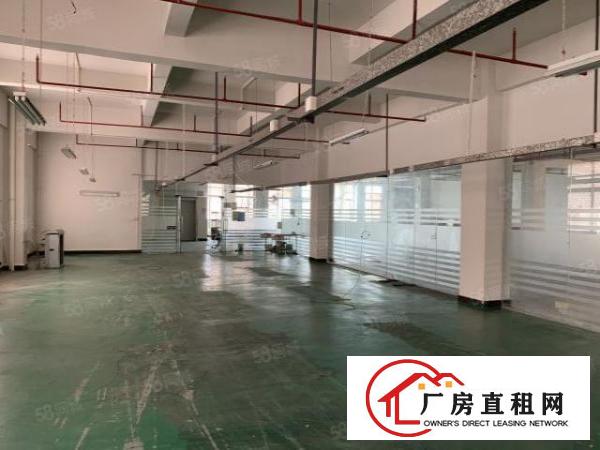  大岭山原房东装修工业厂房，精装办公室可分租办环评水电可过户