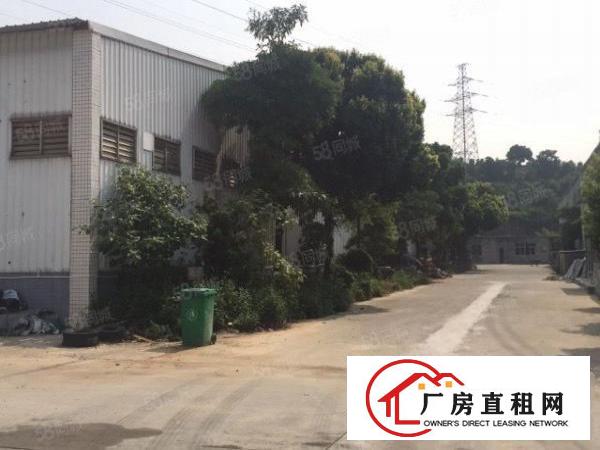  大岭山鸡翅岭原房东出租单一层2000平25元