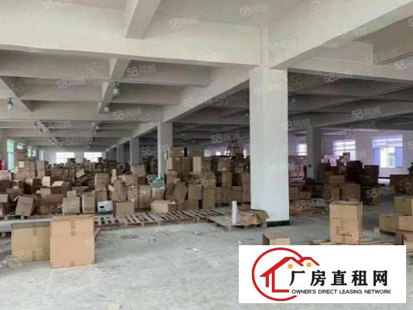  大岭山颜屋新出标准3楼2100平方厂房出租价格便宜