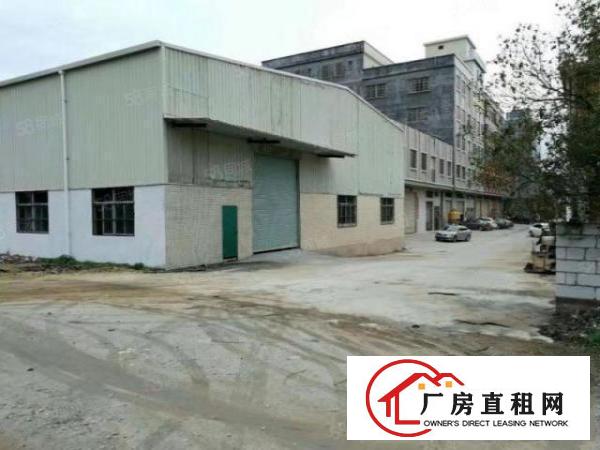  新出原房东十米高1000平可做污染大空地钢构独栋独院厂房出租