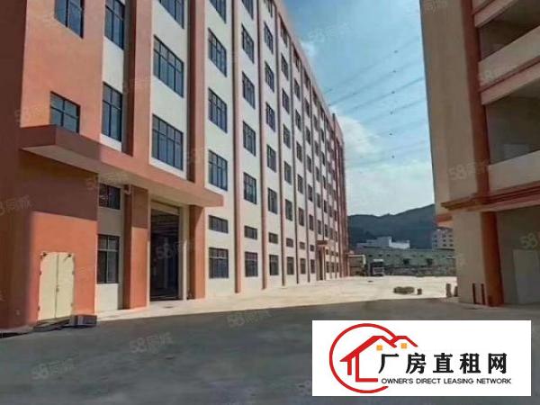  大岭山原房东自建花园式独门独院11万全新重工业厂房，免中介费