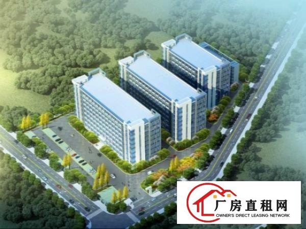  大岭山原房东自建花园式独门独院11万全新重工业厂房，免中介费