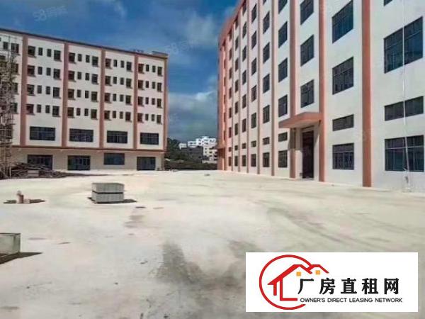  大岭山原房东自建花园式独门独院11万全新重工业厂房，免中介费