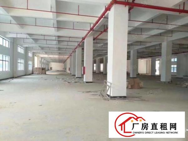  大岭山原房东自建花园式独门独院11万全新重工业厂房，免中介费