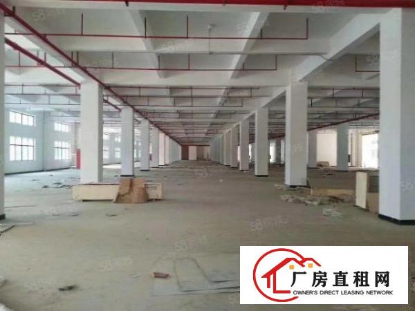  大岭山原房东自建花园式独门独院11万全新重工业厂房，免中介费
