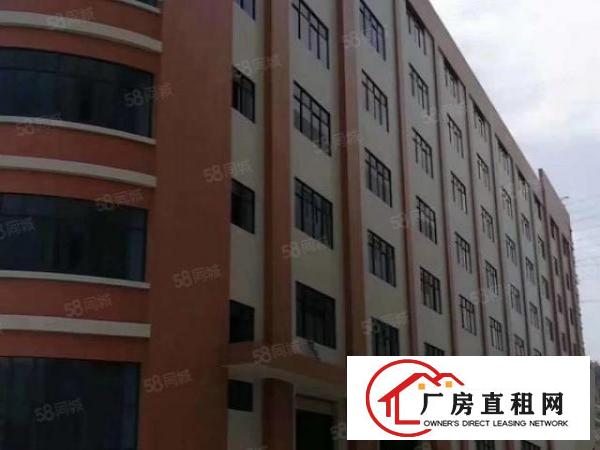  大岭山原房东自建花园式独门独院11万全新重工业厂房，免中介费