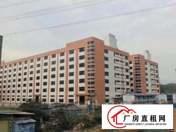  大岭山原房东自建花园式独门独院11万全新重工业厂房，免中介费