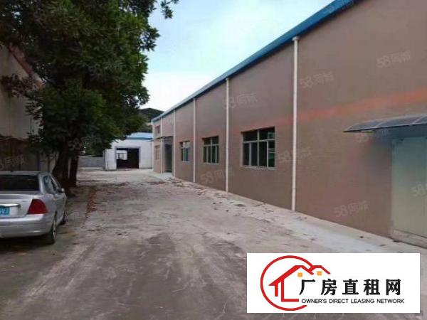  大岭山新出砖墙到顶单一层小独院800平厂房出租无行业限制