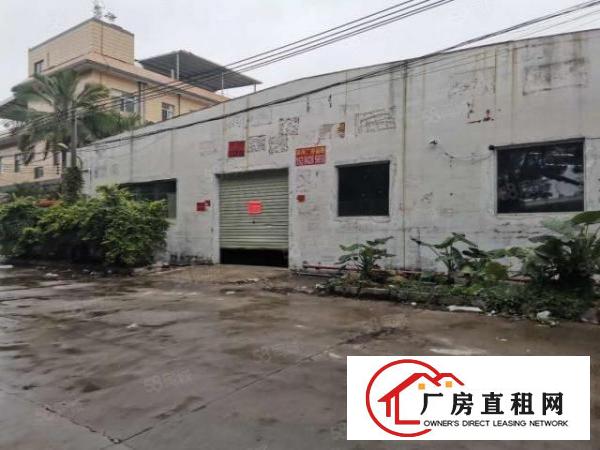  大岭山低价小面积现成办公室钢构厂房800平出租
