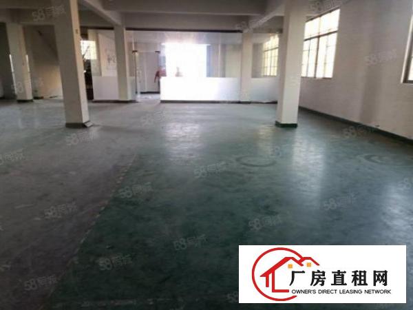  大岭山新出原房东400平方标准厂房带精装修厂房招租！！！！！